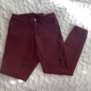 Mango Maroon Jean